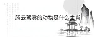 騰云駕霧的動物是什么生肖