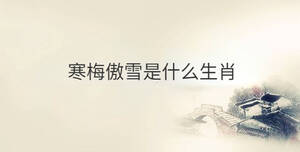 傳統(tǒng) - 2022-10-20T150027.281.jpg