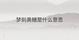 夢到黃鱔是什么意思