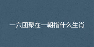 一六團聚在一朝指什么生肖