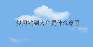 夢見釣到大魚是什么意思