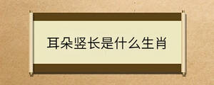 耳朵豎長是什么生肖