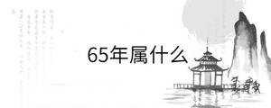 65年屬什么