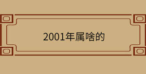 2001年屬啥的