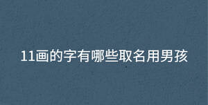 11畫的字有哪些取名用男孩