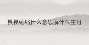 畏畏縮縮什么意思解什么生肖