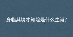 身臨其境才知險是什么生肖?
