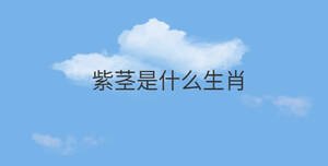 紫莖是什么生肖