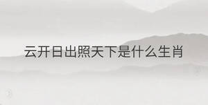 云開日出照天下是什么生肖