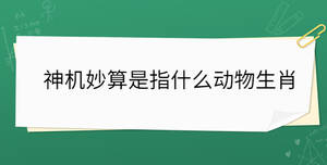 神機(jī)妙算是指什么動(dòng)物生肖