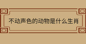不動聲色的動物是什么生肖