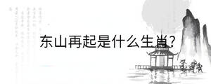 東山再起是什么生肖?