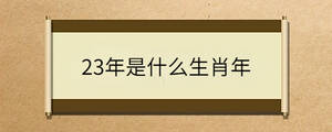 23年是什么生肖年