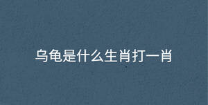 烏龜是什么生肖打一肖