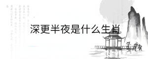 深更半夜是什么生肖