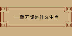 一望無際是什么生肖