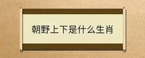 朝野上下是什么生肖