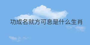 功成名就方可息是什么生肖