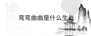 彎彎曲曲是什么生肖