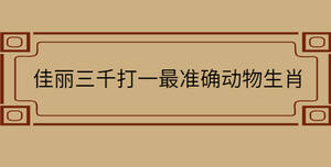 佳麗三千打一最準確動物生肖