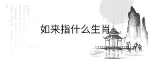 如來指什么生肖