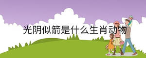 光陰似箭是什么生肖動物