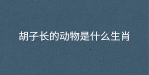 胡子長(zhǎng)的動(dòng)物是什么生肖