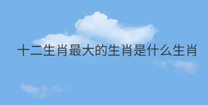 十二生肖最大的生肖是什么生肖