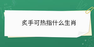 炙手可熱指什么生肖
