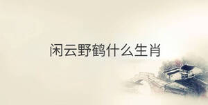 閑云野鶴什么生肖