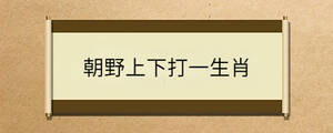 朝野上下打一生肖