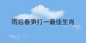 雨后春筍打一最佳生肖