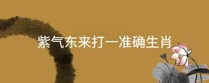 紫氣東來打一準確生肖