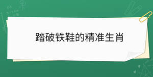踏破鐵鞋的精準生肖