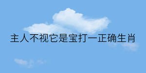 主人不視它是寶打一正確生肖