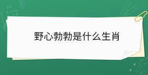野心勃勃是什么生肖