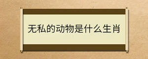 問(wèn)答 - 2022-11-02T164745.849.jpg