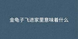 金龜子飛進家里意味著什么
