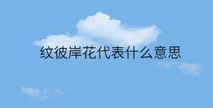 紋彼岸花代表什么意思
