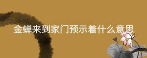起名 - 2022-11-10T100924.446.jpg