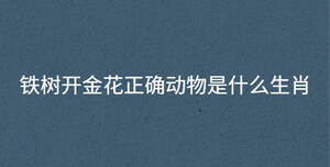 鐵樹開金花正確動物是什么生肖