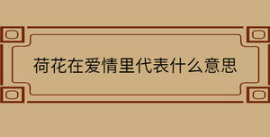 荷花在愛情里代表什么意思