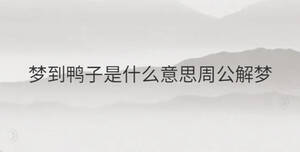 夢(mèng)到鴨子是什么意思周公解夢(mèng)