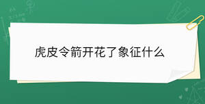 虎皮令箭開(kāi)花了象征什么