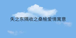 失之東隅收之桑榆愛情寓意