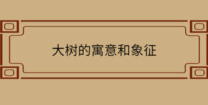 大樹的寓意和象征