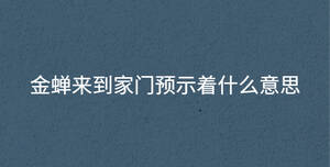 金蟬來到家門預示著什么意思