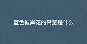 藍色彼岸花的寓意是什么