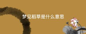 夢見稻草是什么意思