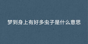 夢到身上有好多蟲子是什么意思